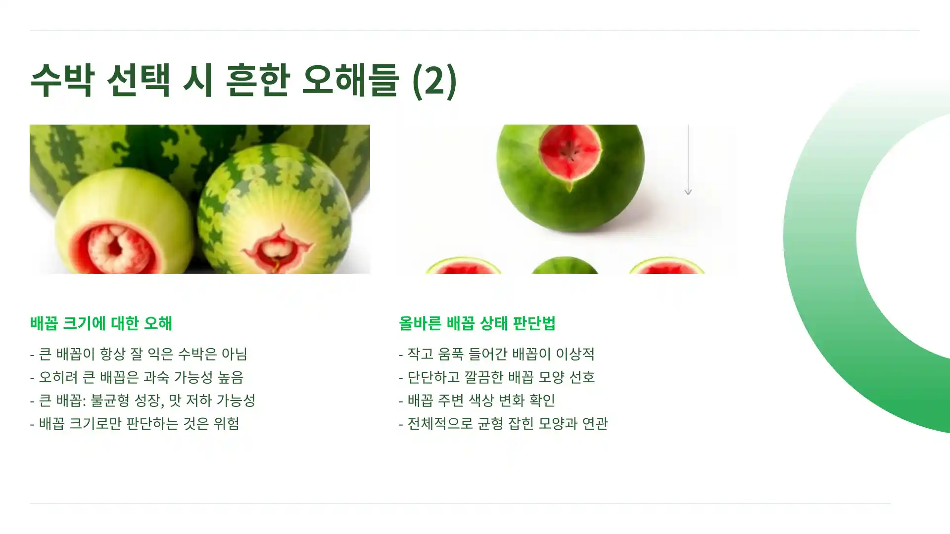 맛있는 수박 고르는 방법