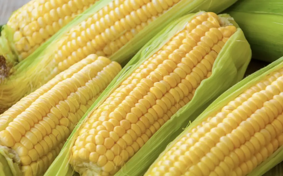 톡소올로지 원료3