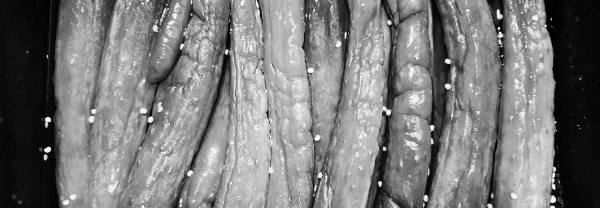 물없는 오이지 50개담그는법