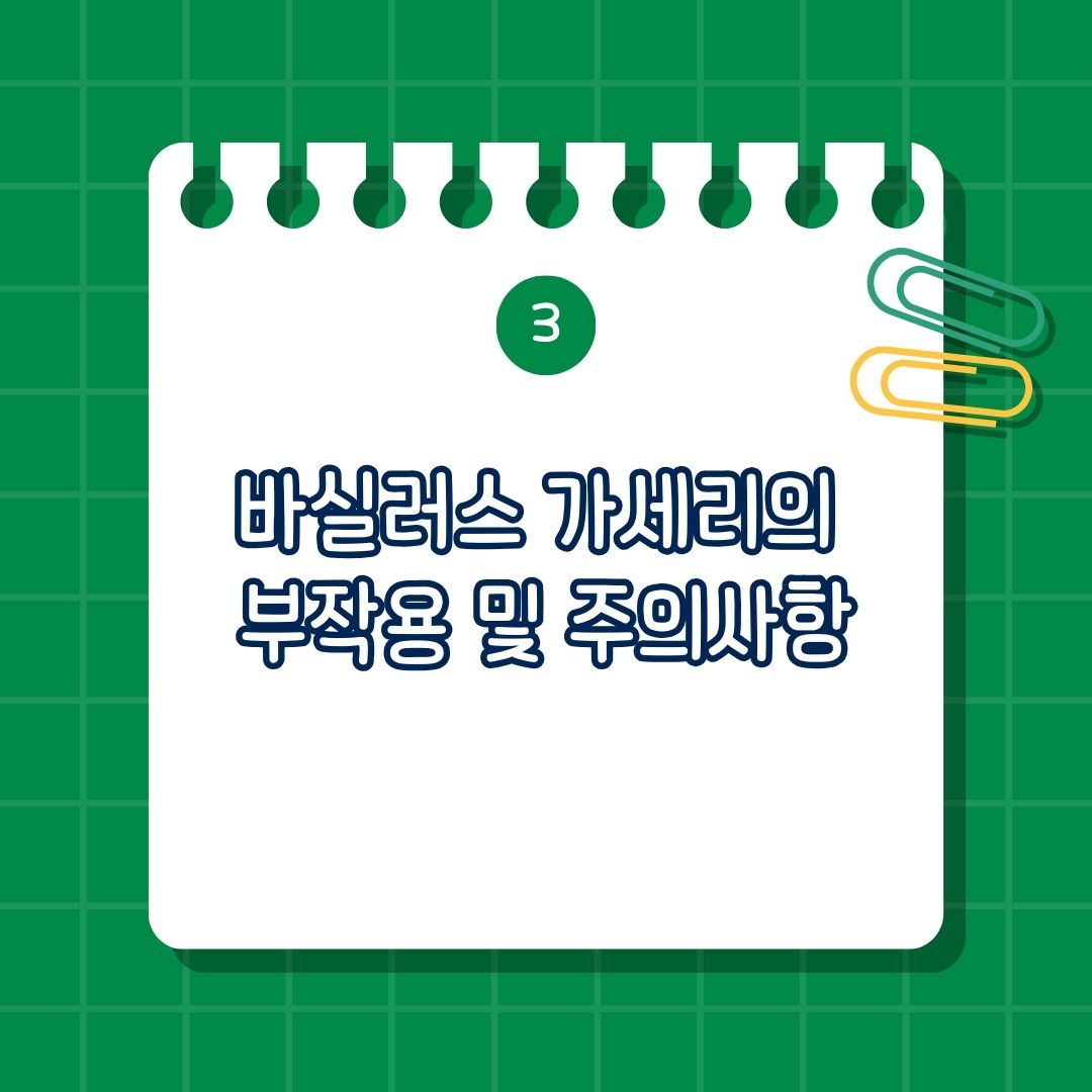 바실러스 가세리(Bacillus gasseri) 부작용 및 주의 사항, 초기 부작용 가능성, 면역이 약한 사람은 주의 필요, 과다 섭취 시 부작용 가능성