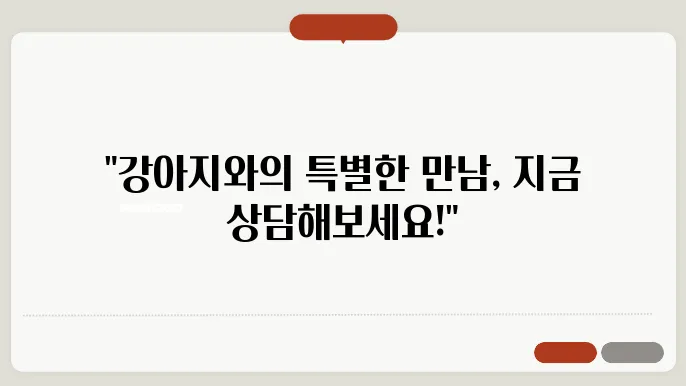 시흥강아지보호소 편하게 상담해요