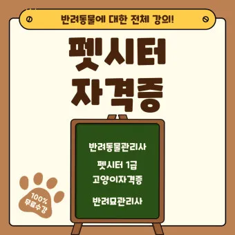 펫시터자격 교육과정 활동영역 창업준비 시니어 돌봄 일거리 찾기_18