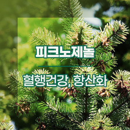 피크노제놀