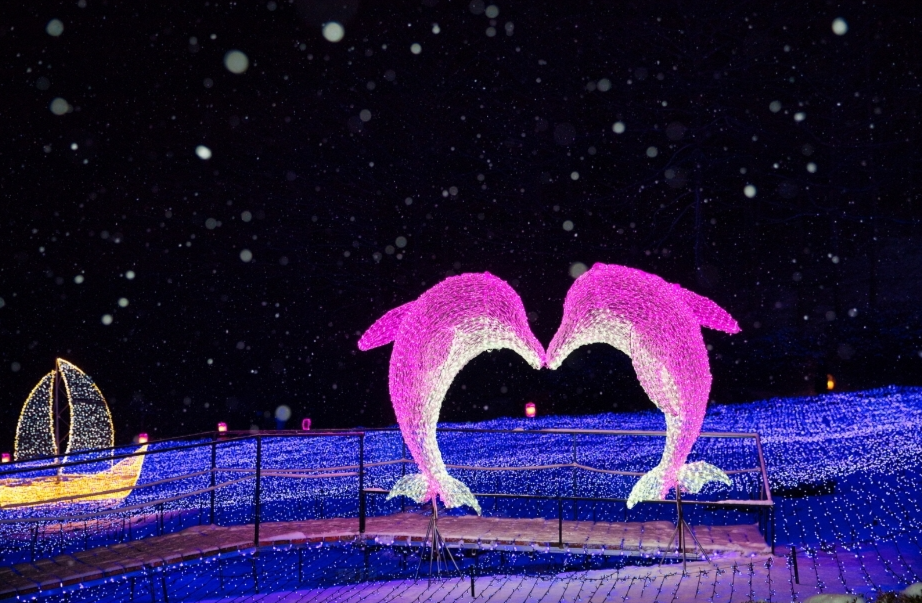 아침고요수목원-겨울관람-할인-예약으로-즐기는-모습들-사진