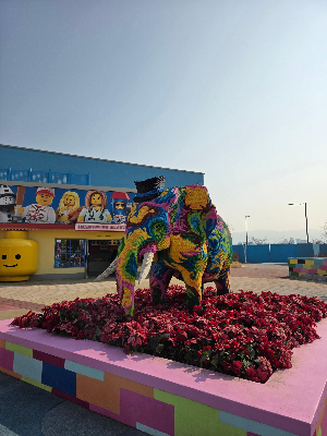 설명서 없는 레고 놀이가 아이에게 주는 효과