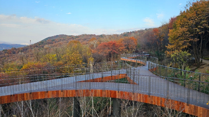 용마산 스카이워크 관련 사진첨부(출처:포토뉴스)