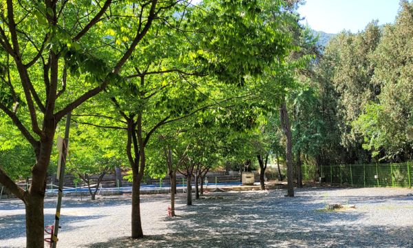 밀양스쿨_오토캠핑장_사이트