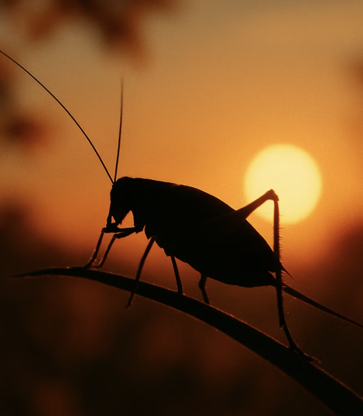 짧지만 아름다운 동행