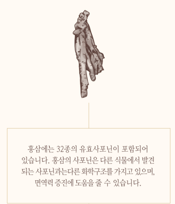 이뮨비타민-트푸포뮬러