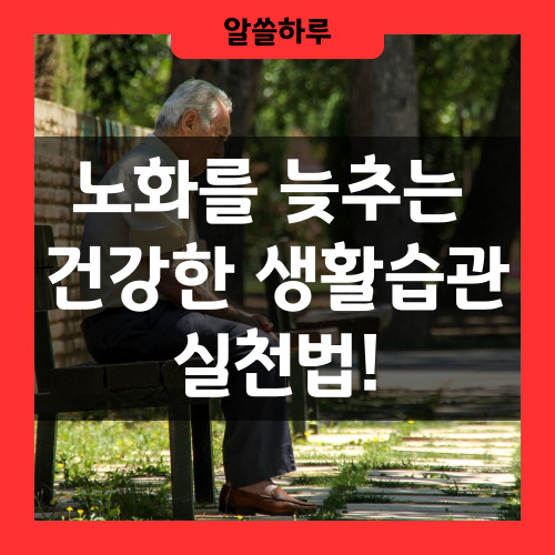 노화를 늦추는 건강한 생활습관
