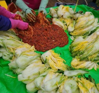 절임배추와 속을 한곳에 모아두고 김장하는 사진