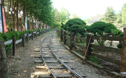 가평 남이섬, 자라섬, 아침고요수목원2