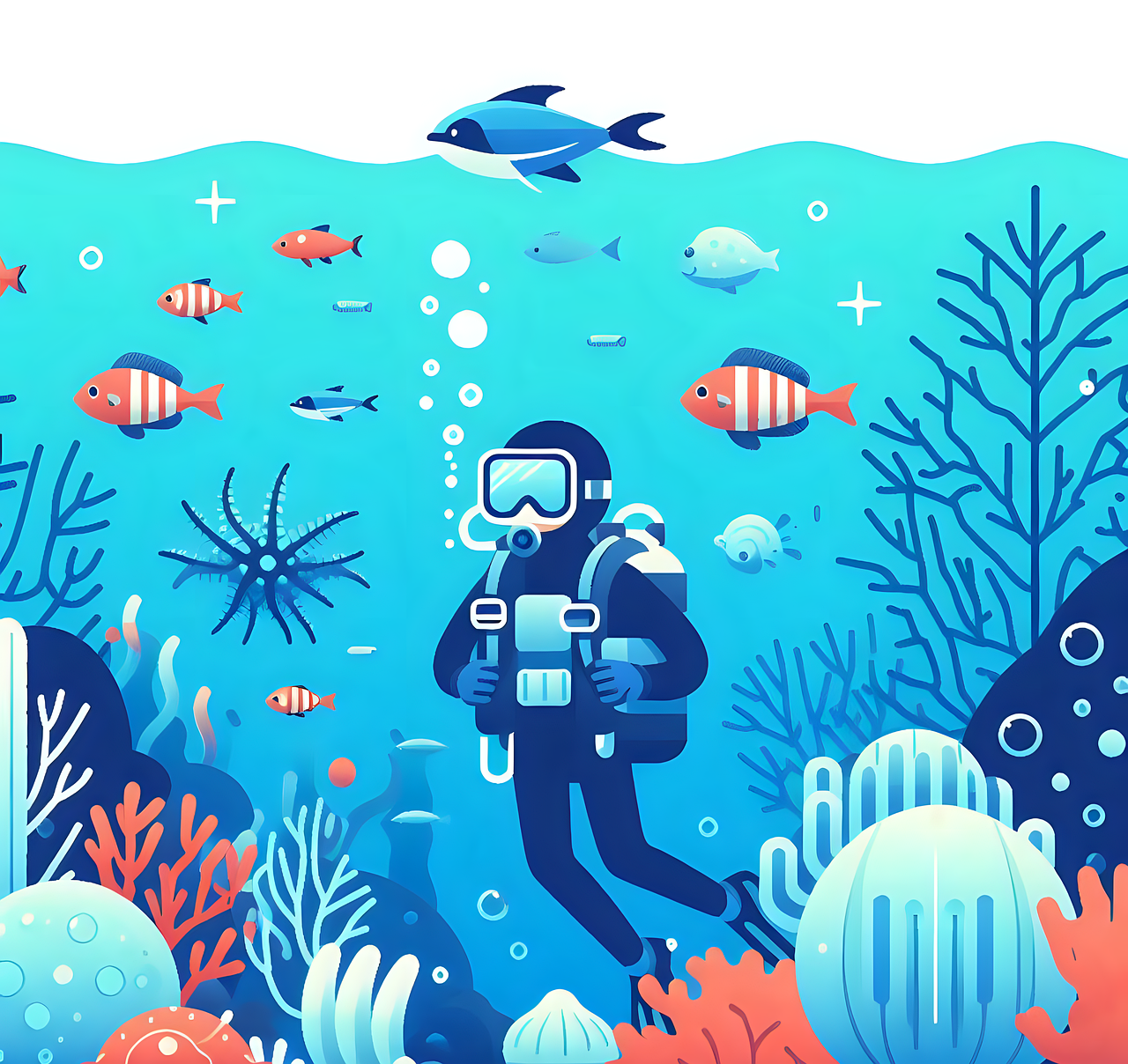 스쿠버다이빙 관련 사진