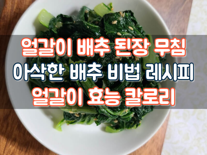 얼갈이배추 무침
얼갈이 배추 삶기 데치는 방법 효능 칼로리 집밥레시피