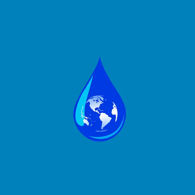 하루 물 2리터! 수분 섭취와 치매(인지 기능)의 관계