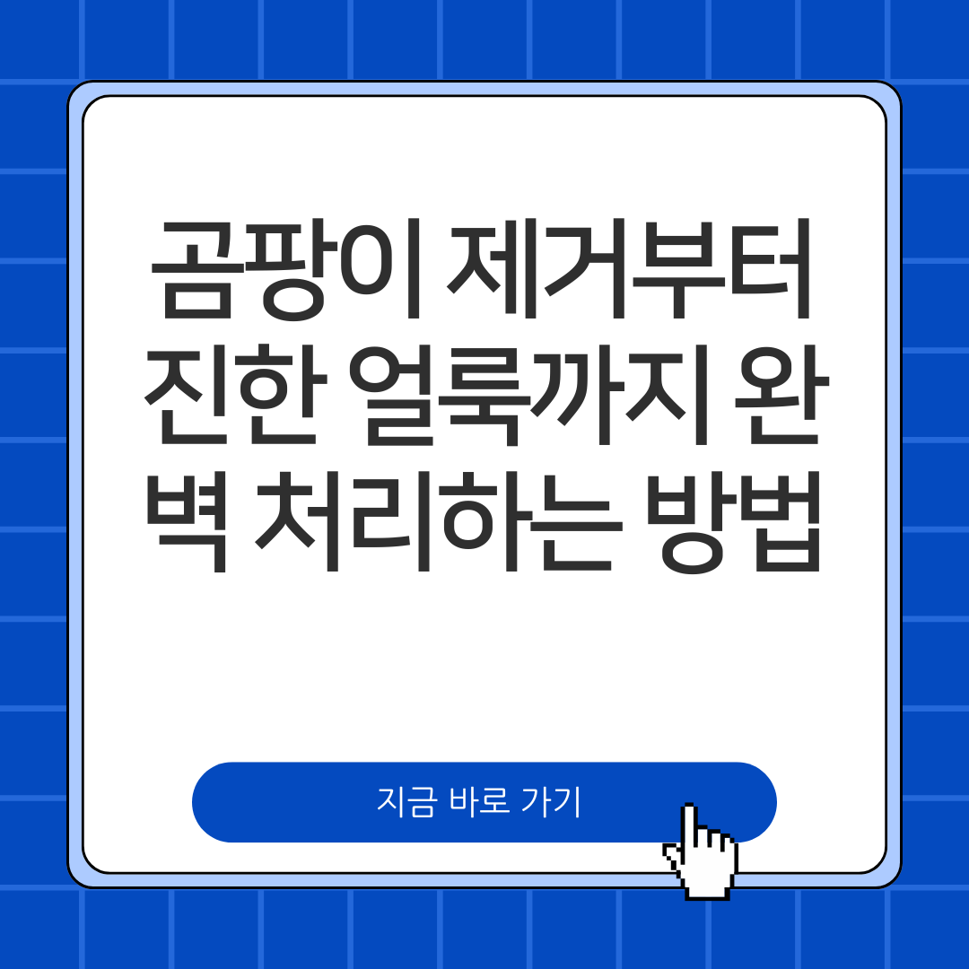 곰팡이 제거부터 진한 얼룩까지 완벽 처리하는 방법