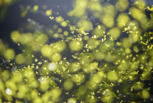 우주의 신비 : 무한한 가능성