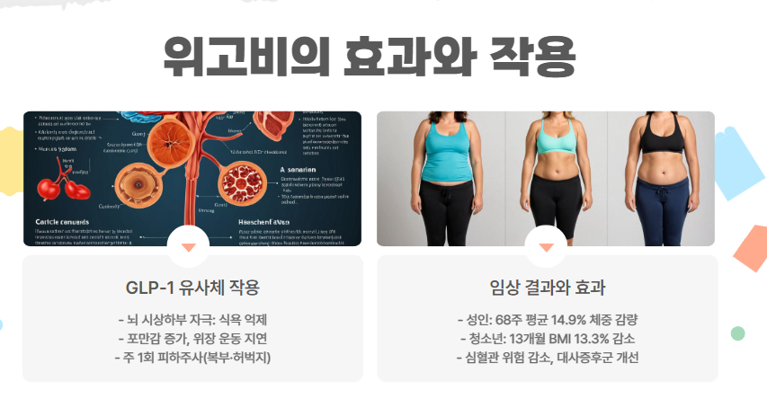 효과와 작용 원리