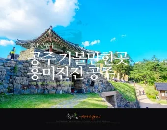 공주 가볼만한곳 맛집 카페 추천 실내 사진 명소_11