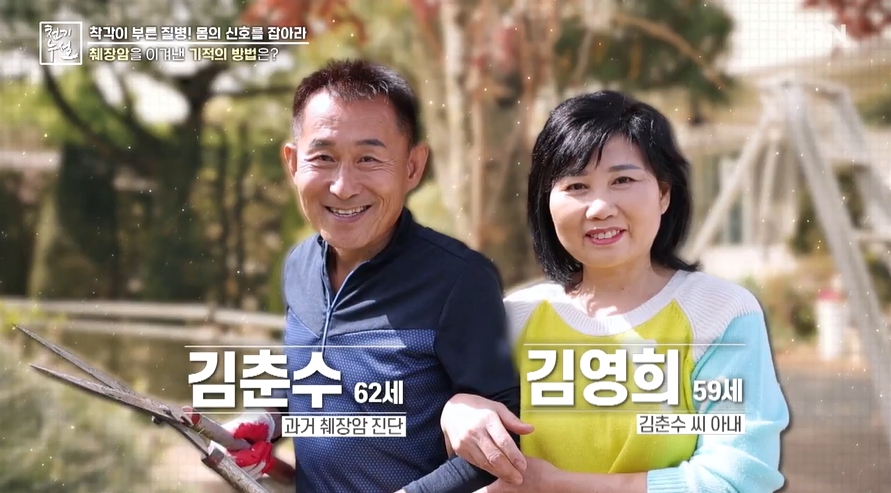 봄나물이미지