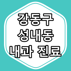 서울시 강동구 성내동 내과 전문의 진료 동네 병원