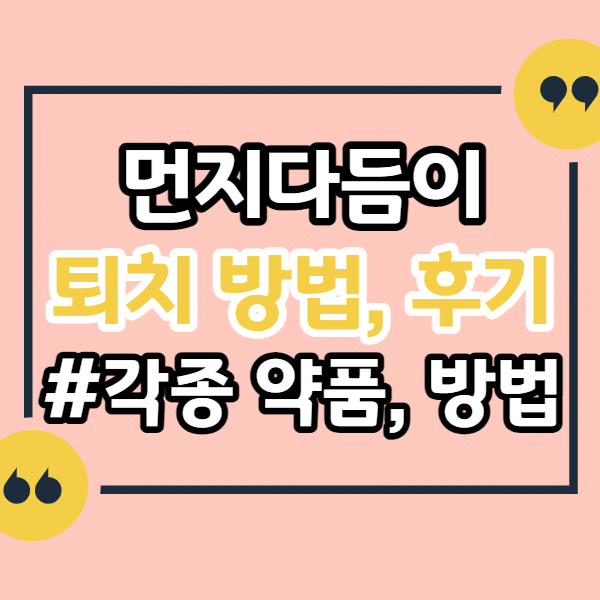 먼지다듬이-퇴치방법-후기-없애는법