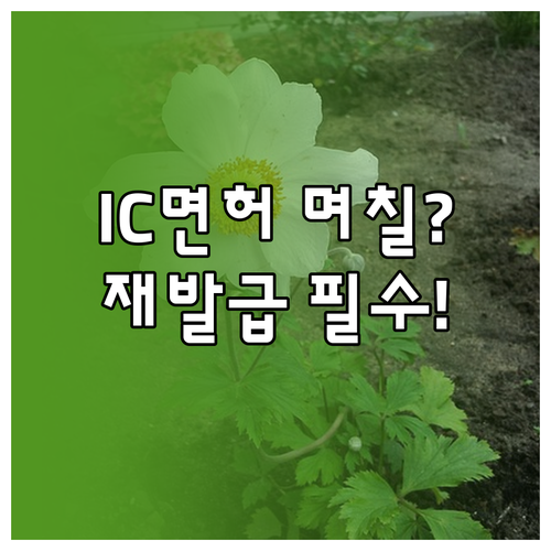 모바일 IC 운전면허증 재발급 신청 ..