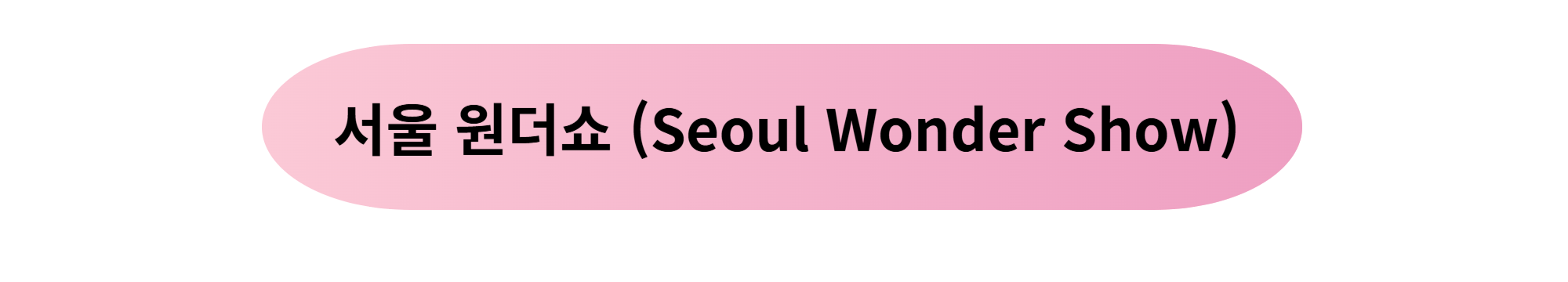 서울 원더쇼