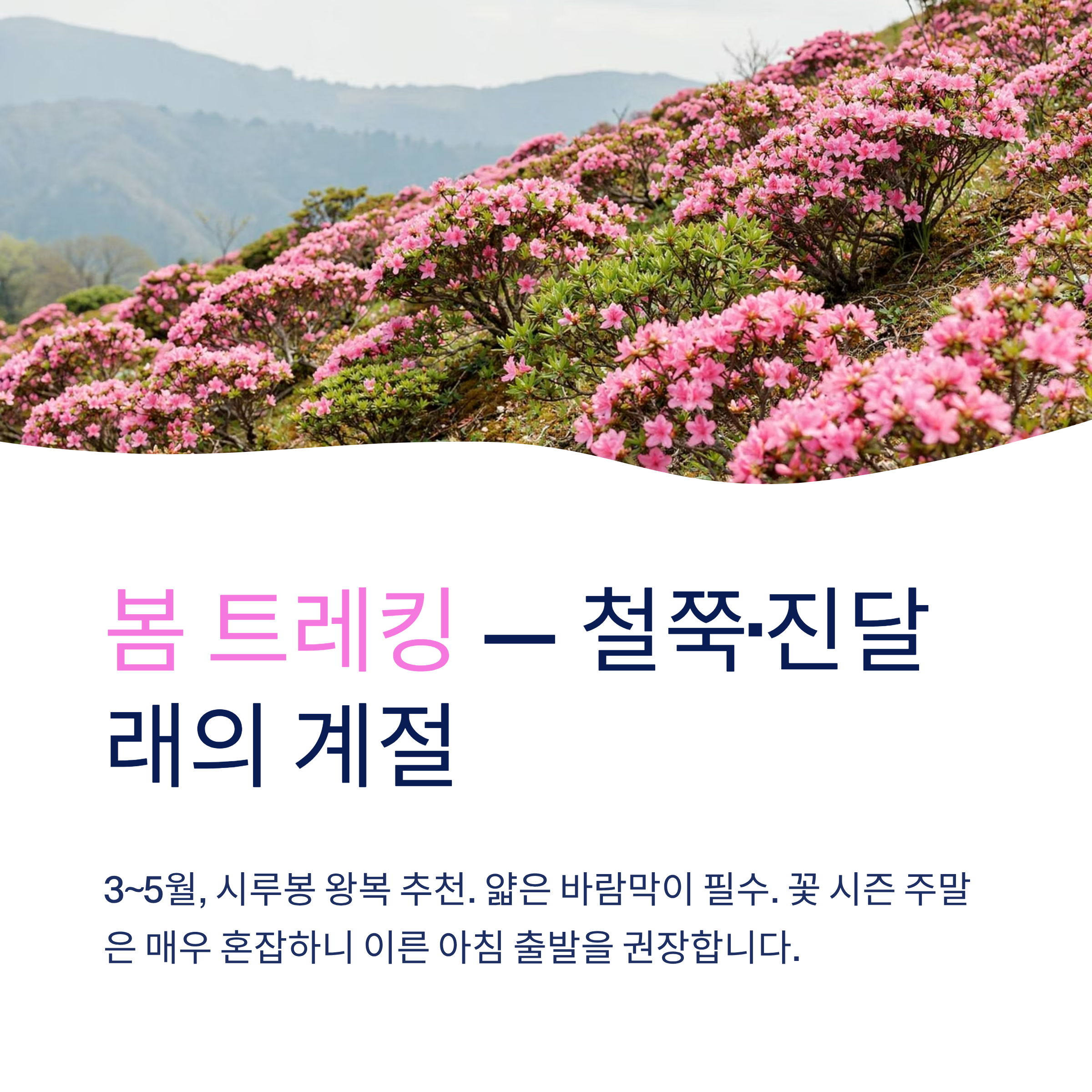 수원 광교산 트레킹 코스 완벽 가이드 — 초보부터 고수까지 모두 즐기는 법