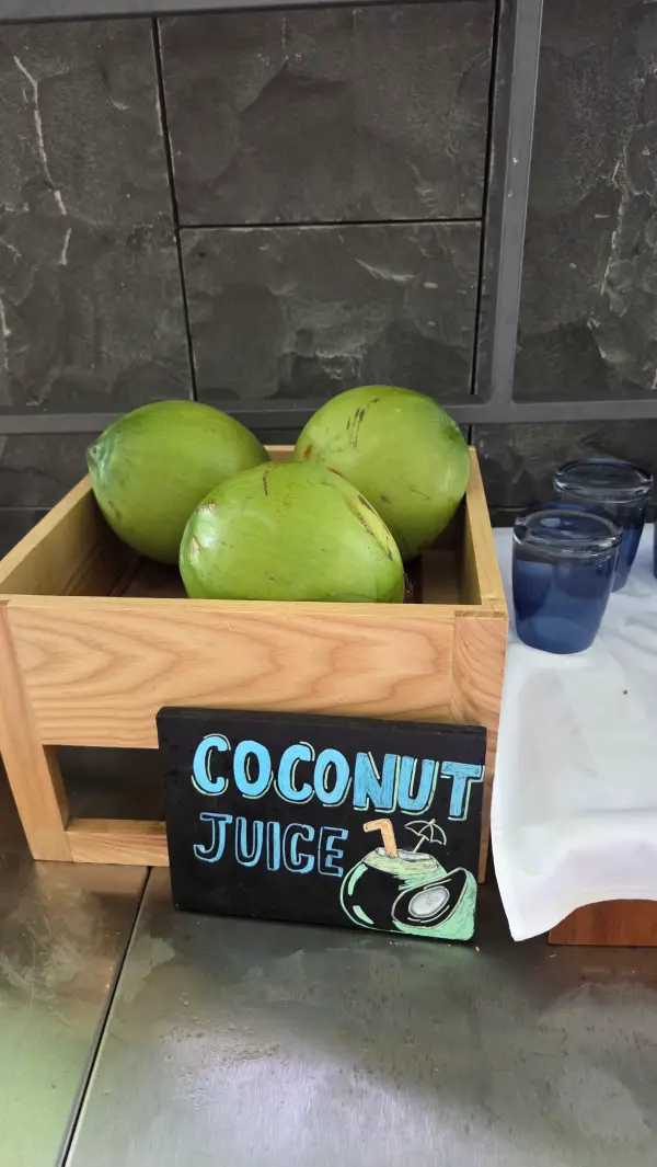 코코넛워터-무료