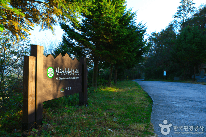 국립 천관산 자연휴양림 
