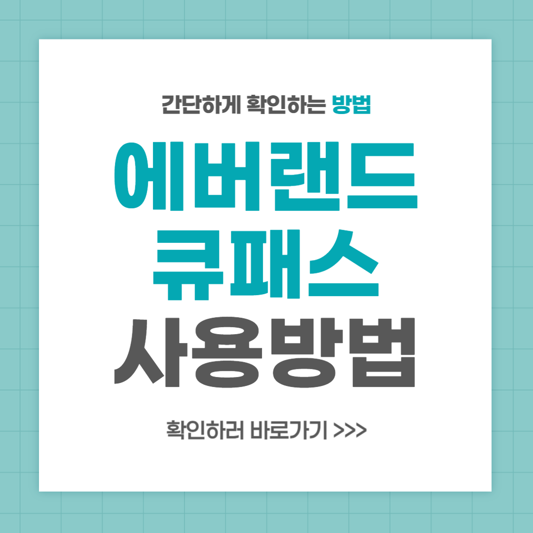 에버랜드 큐패스 당일 구매