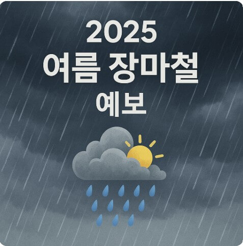 장마철 사진
