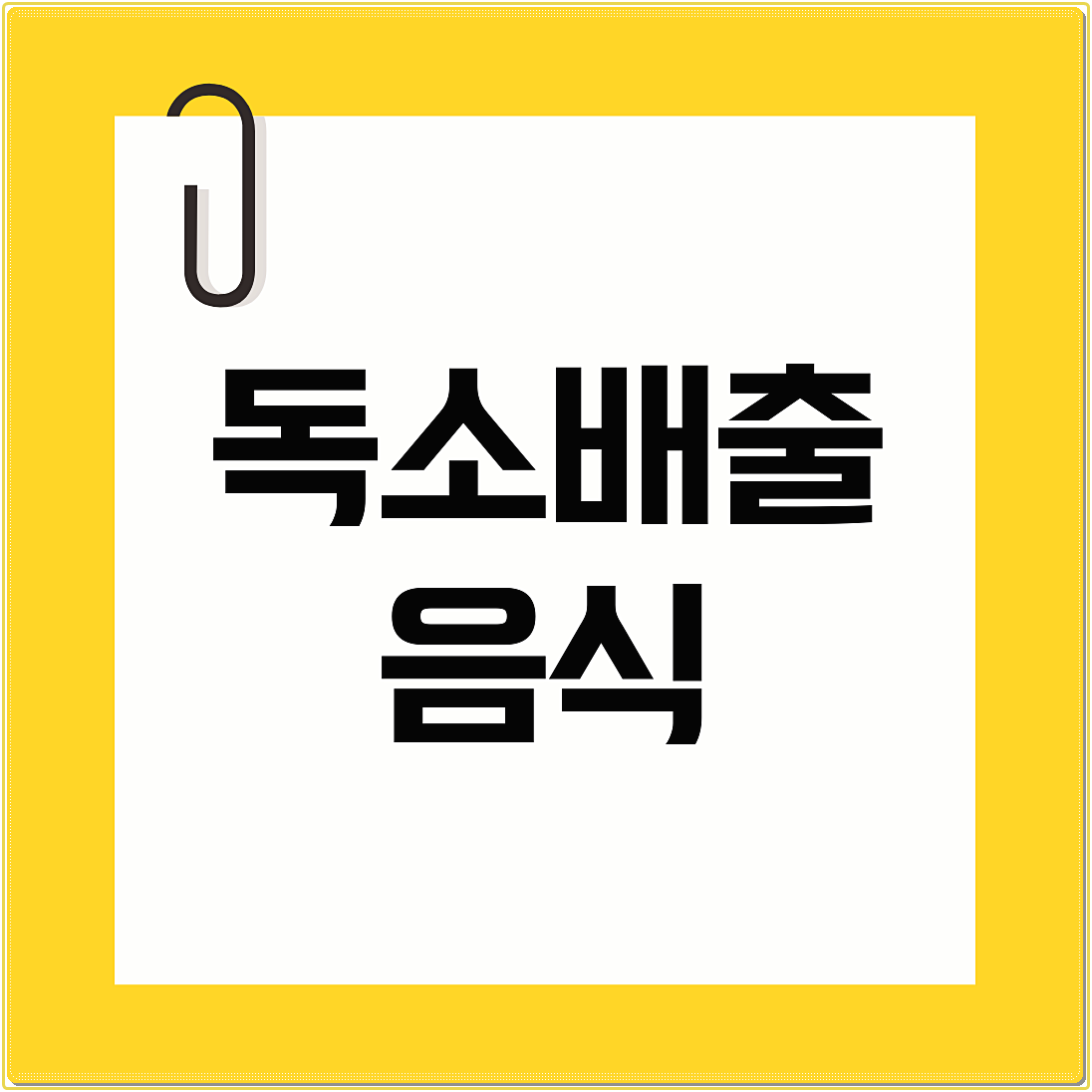 독소배출 음식