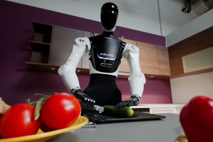 neurarobotics