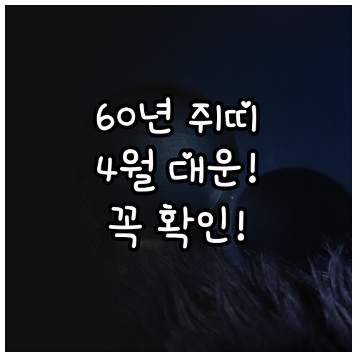 1960년생 쥐띠를 위한 2026년 ..