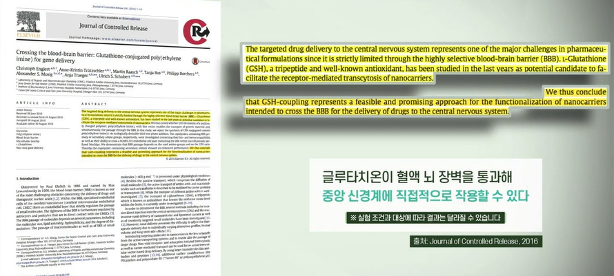 글루타치온 효능