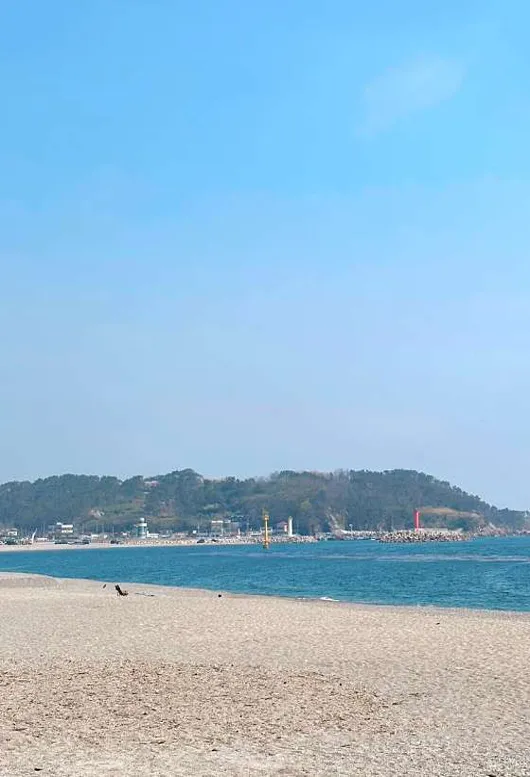 나정고운모래해변