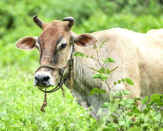 2025년 8월 29일 오늘의 띠별 운세