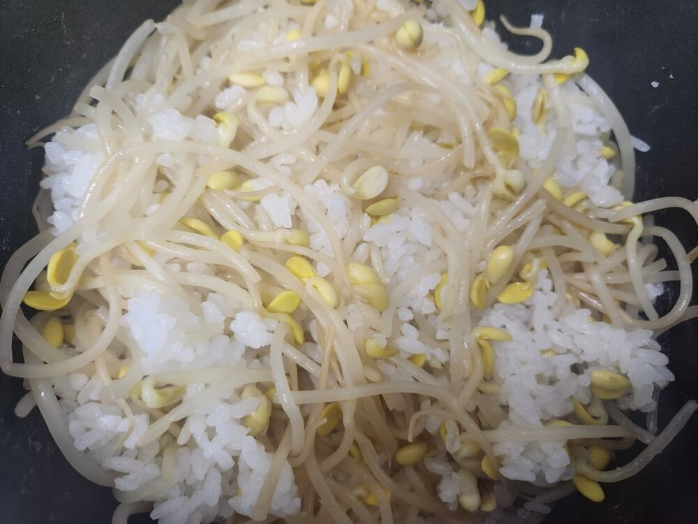 전기밥솥 콩나물밥 완성