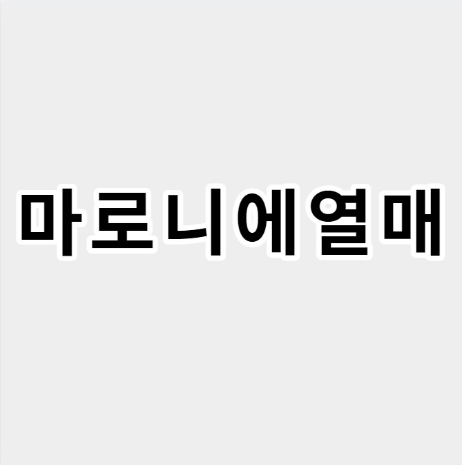 마로니에열매