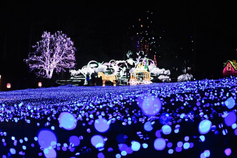[겨울축제] 아침고요수목원 오색별빛정원전