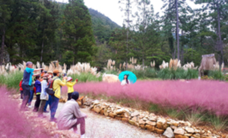 해남 포레스트 수목원