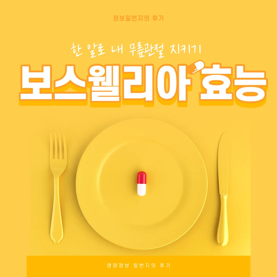 보스웰리아-효능-후기-관절-피로-연골-관절건강-무릎