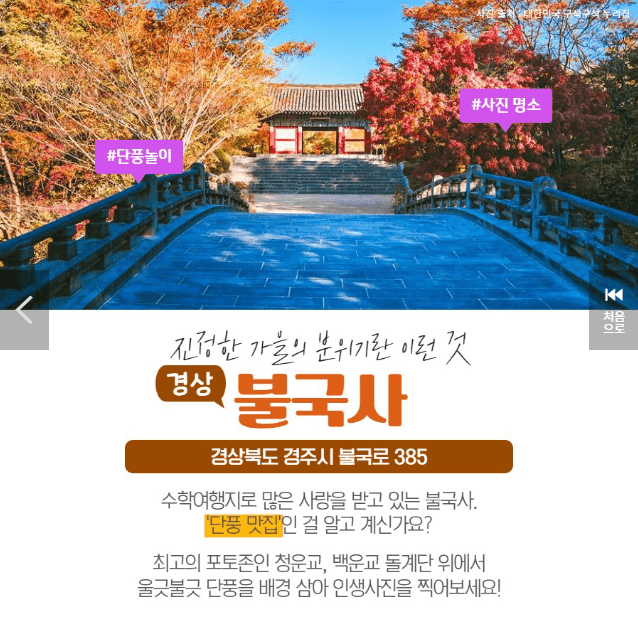 단풍 명소 여행