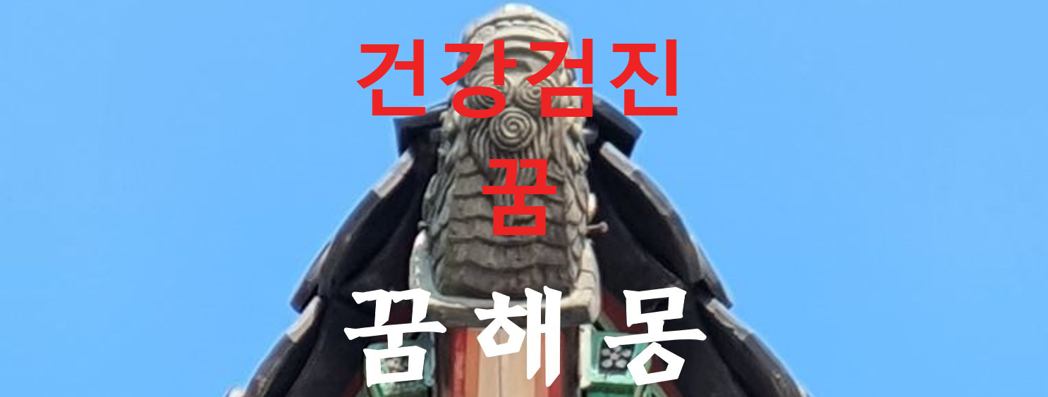꿈해몽