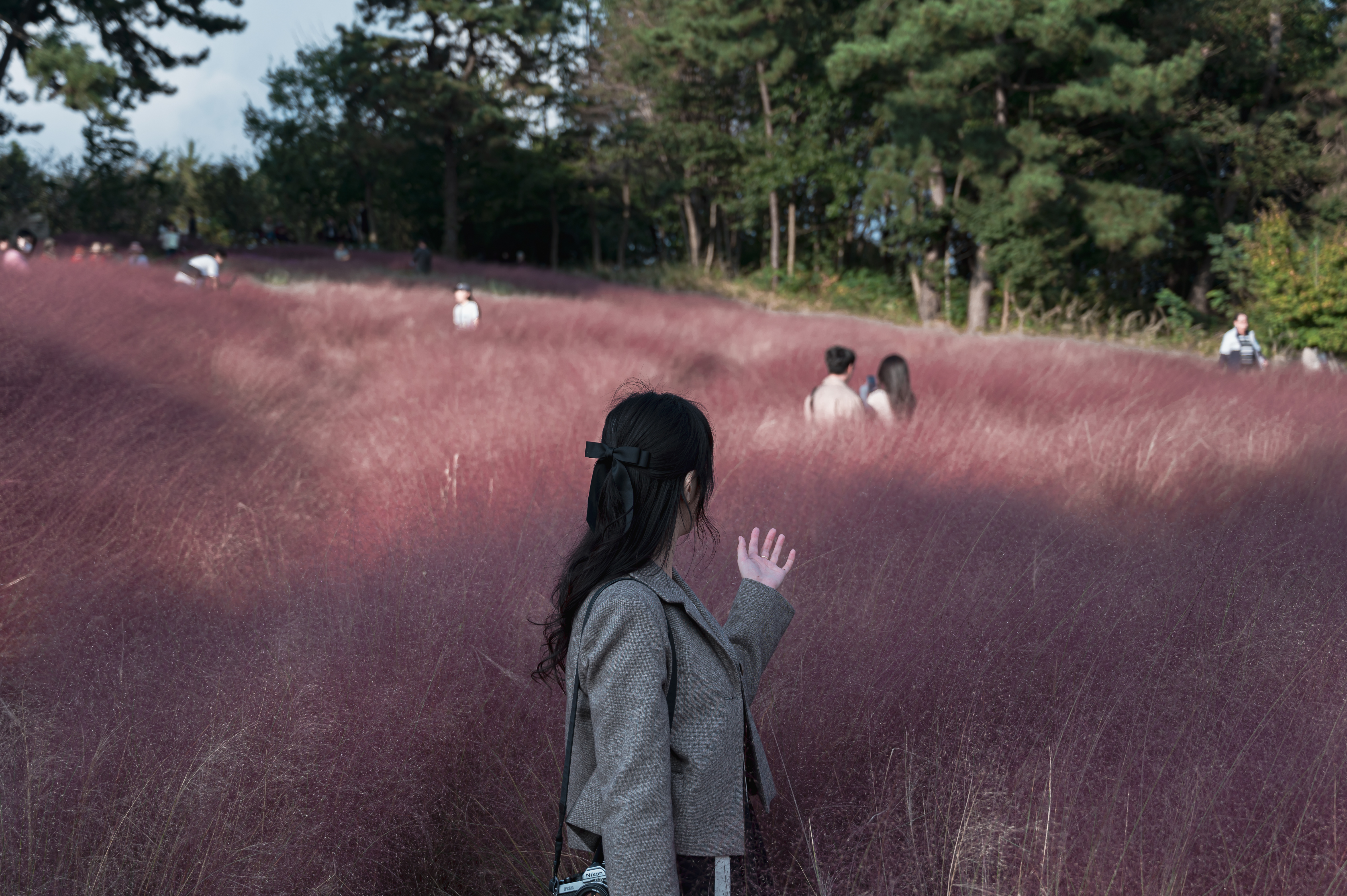신흥 근린 공원 둘레길
