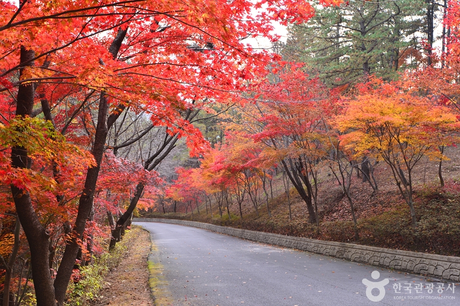 화순 가볼만한곳 베스트10