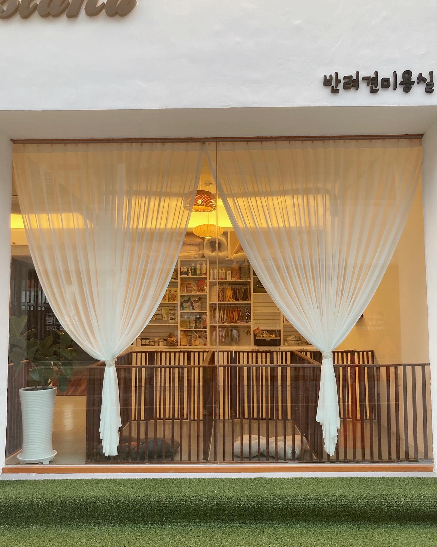 퍼피아일랜드