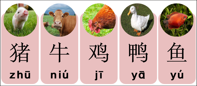 중국요리재료